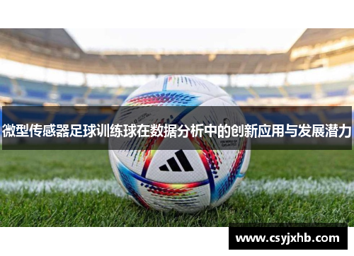 微型传感器足球训练球在数据分析中的创新应用与发展潜力